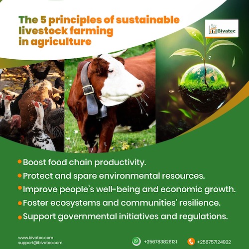 About  | Your Sustainable Farming Solutions